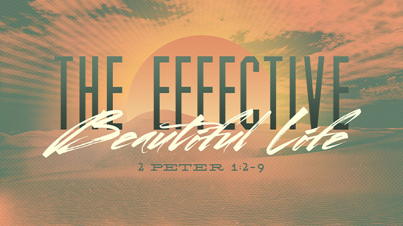 The Effective Beautiful Life