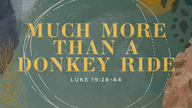 Much More Than a Donkey Ride