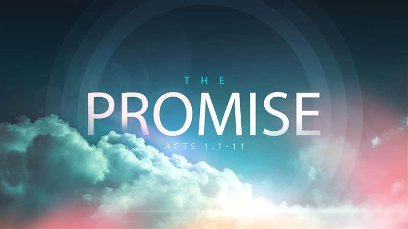 The Promise