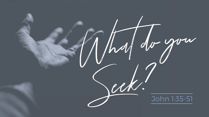 What do you seek?