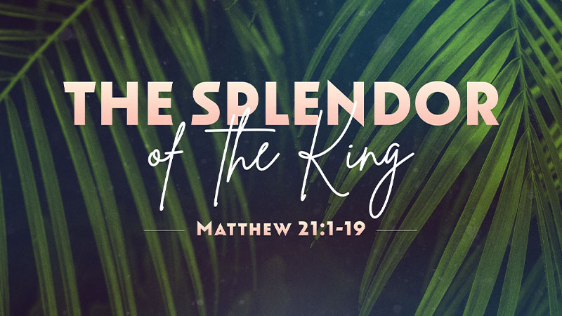 The Splendor of the King