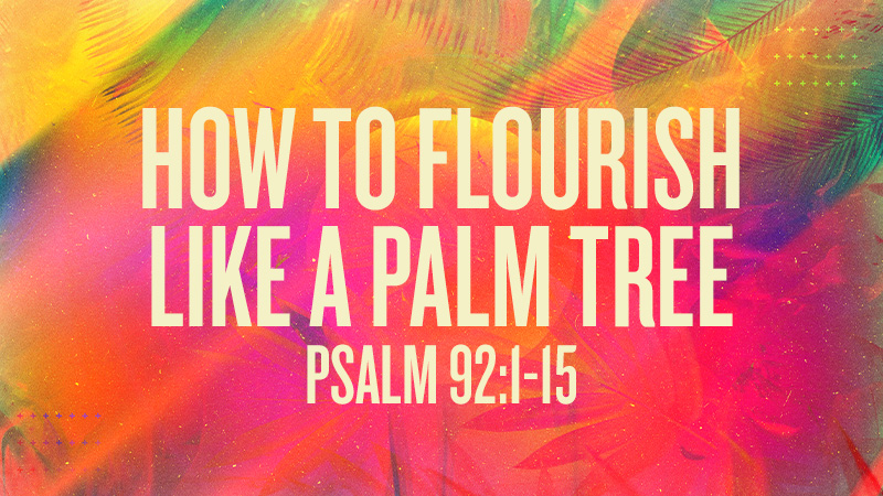 How to Flourish like a Palm Tree