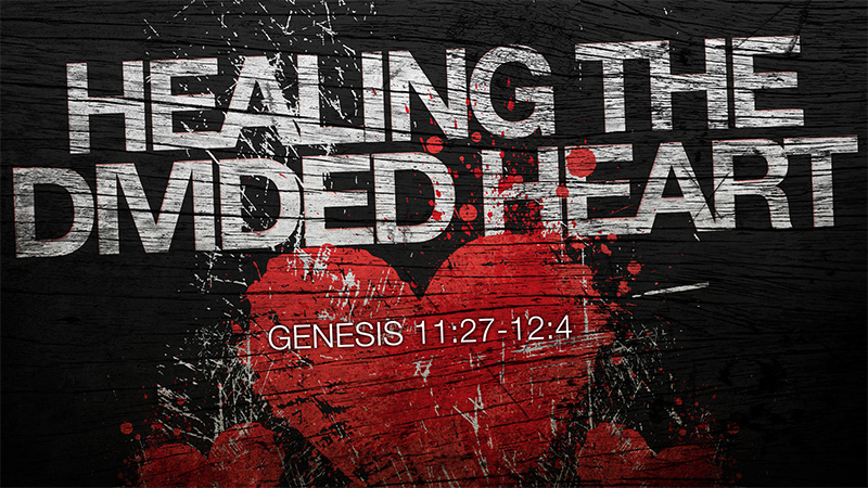 Healing the Divided Heart 