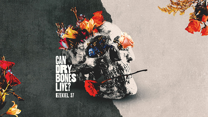 Can Dry Bones Live?