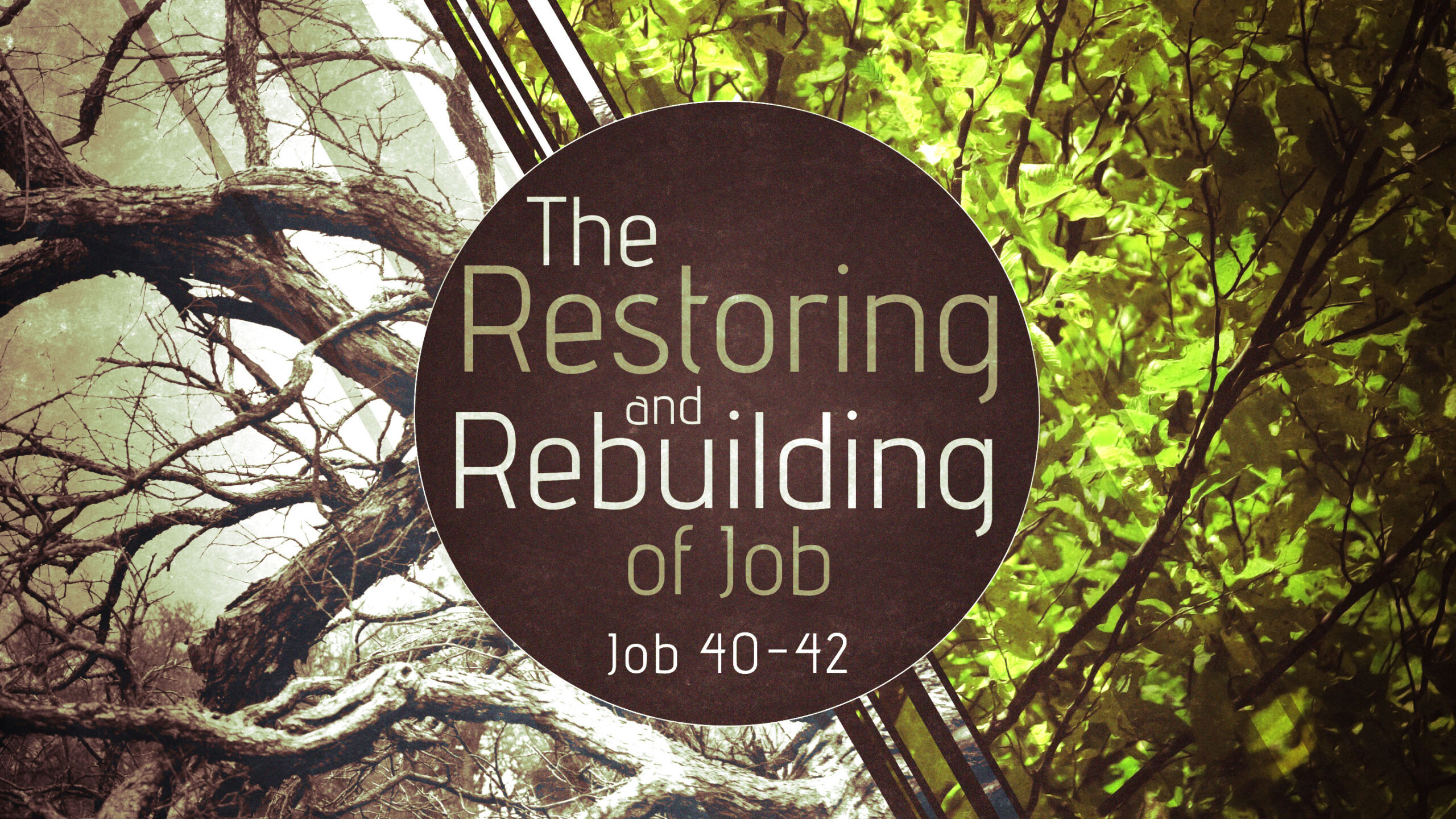 The Restoring and Rebuilding of Job