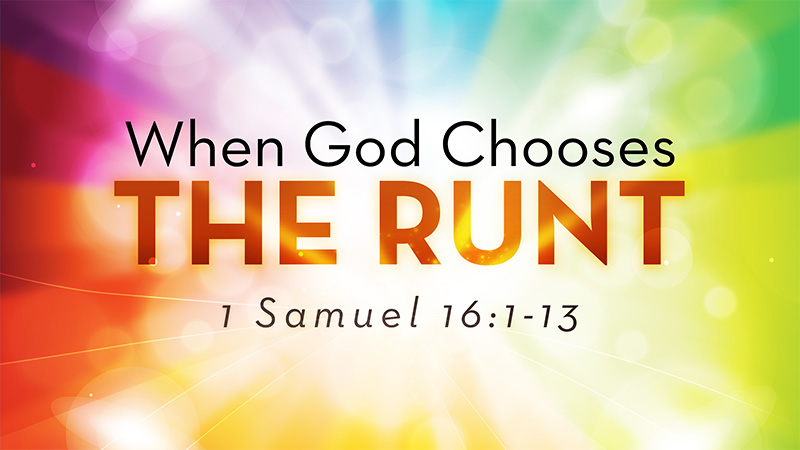 When God Chooses The Runt