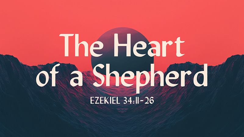 The Heart of a Shepherd