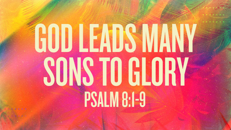 God Leads Many Sons to Glory