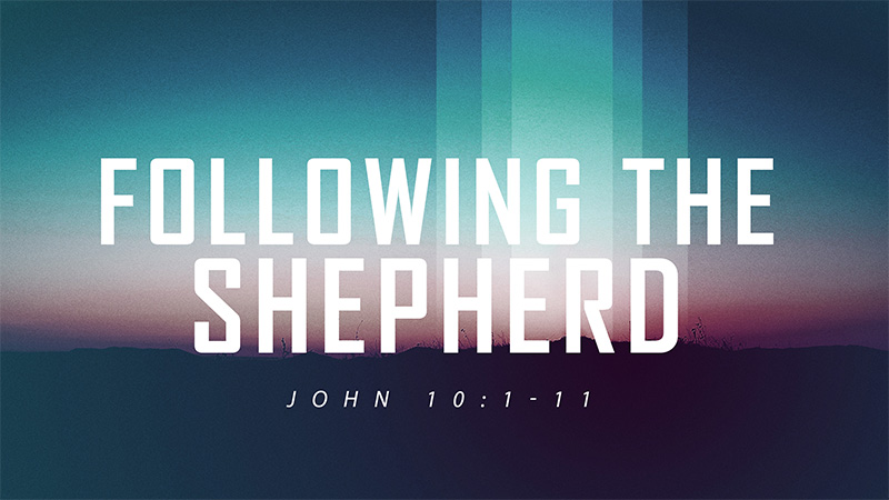 Following the Shepherd