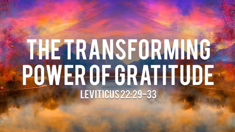 The Transforming Power of Gratitude