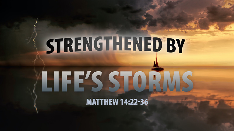 Strengthened by Life’s Storms