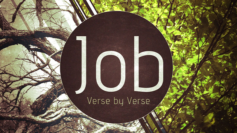 Job 38:1-42:17