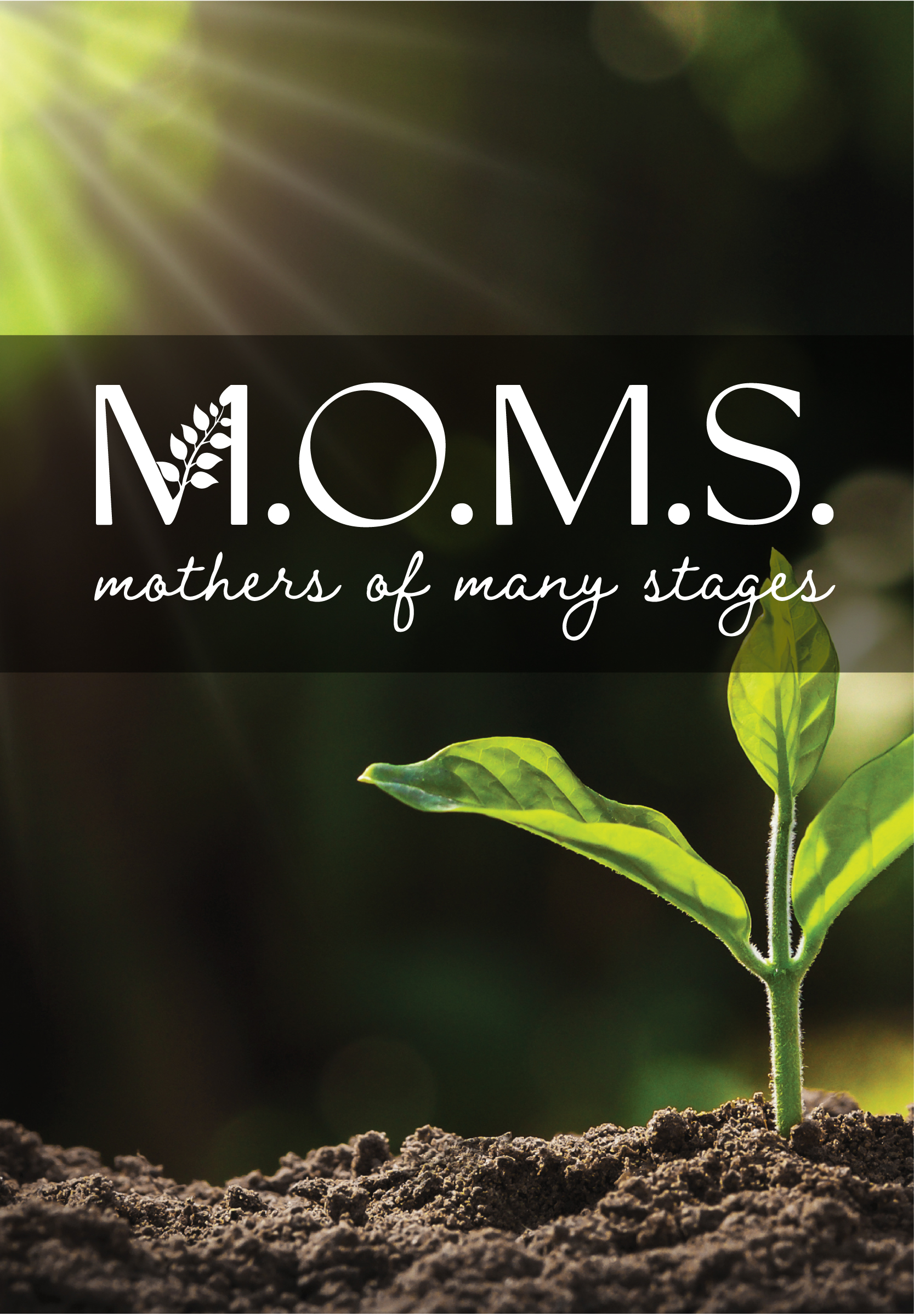 M.O.M.S (Mother of Many Stages)
