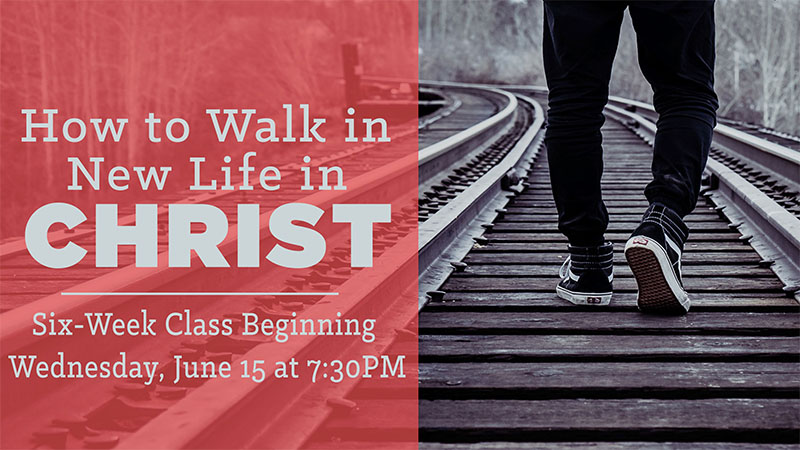 How to Walk in New Life in Christ