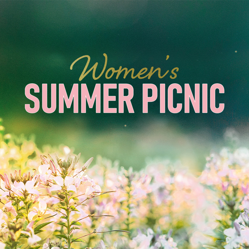 Women's Summer Picnic