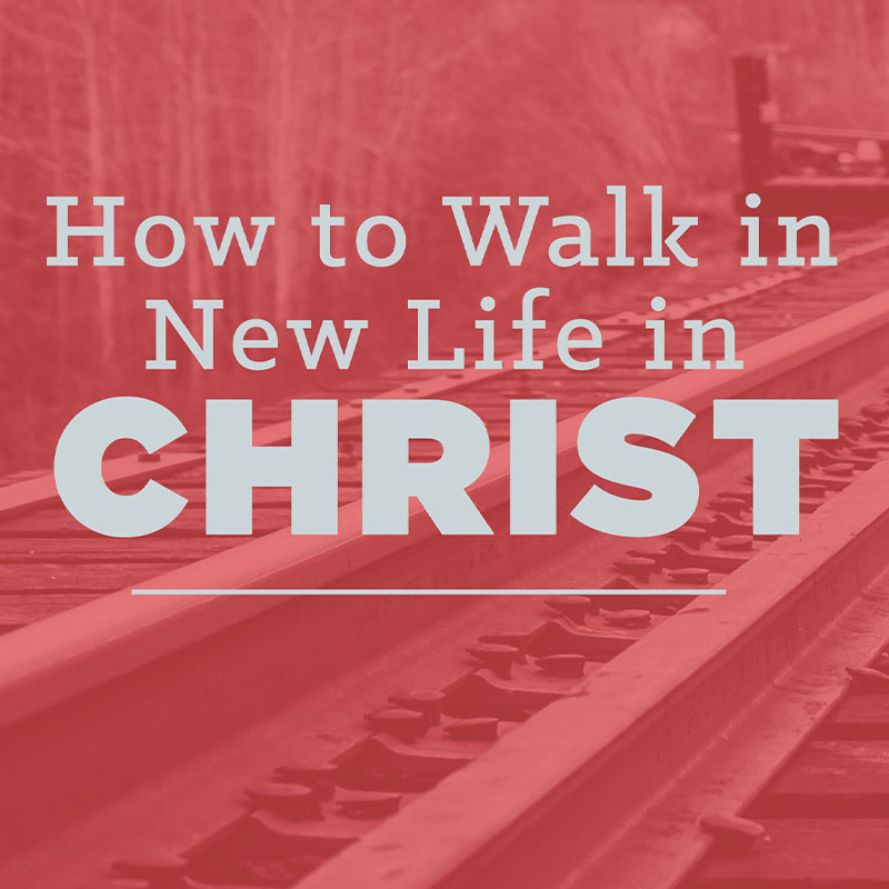 How to Walk in New Life in Christ