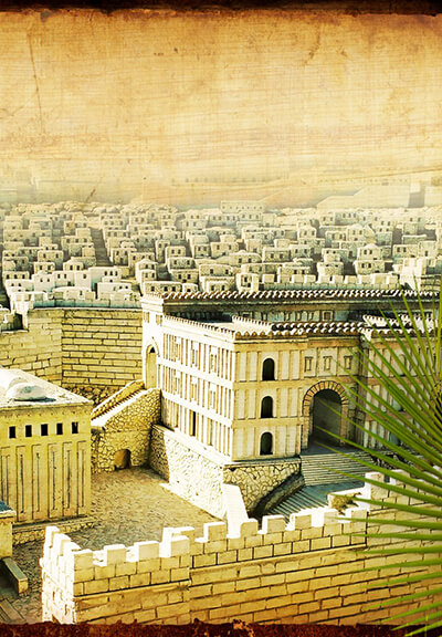 Currently Viewing The History of the Modern Palestinian Problem