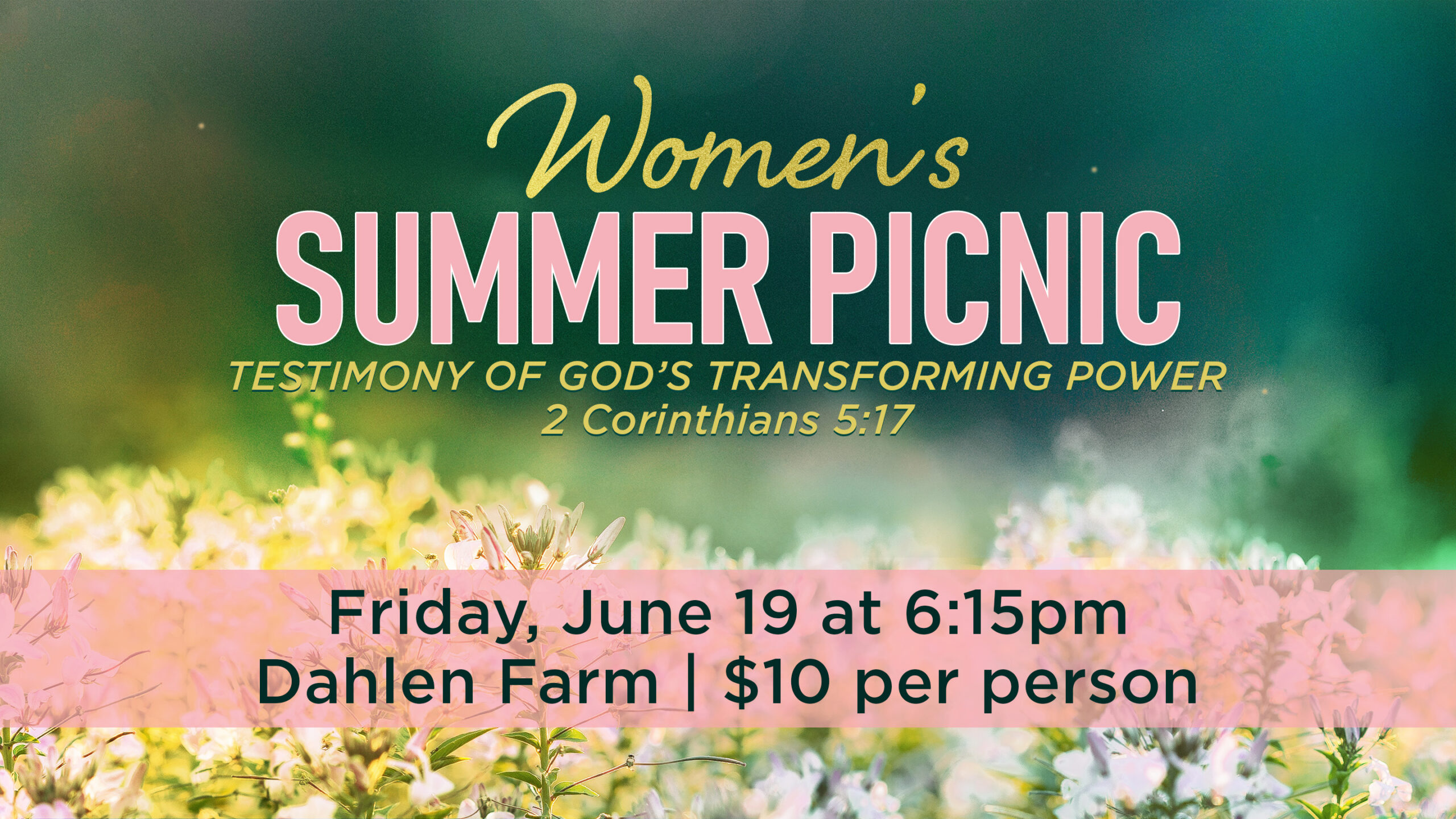 Women's Summer Picnic